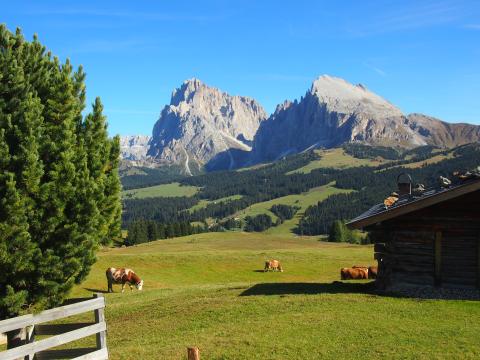 südtirol landschaft